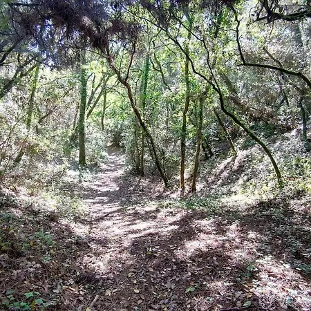 Au Pied De La Dune, Acces Prive A La * Saint-Georges-de-Didonne