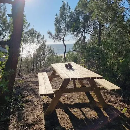 Ferienhaus Au Pied De La Dune, Acces Prive A La *