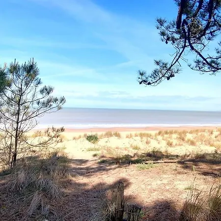 Ferienhaus Au Pied De La Dune, Acces Prive A La