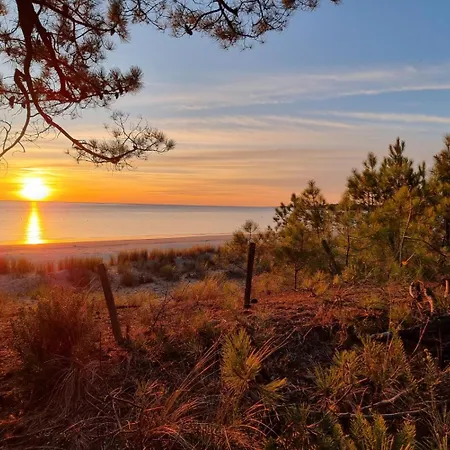 Ferienhaus Au Pied De La Dune, Acces Prive A La