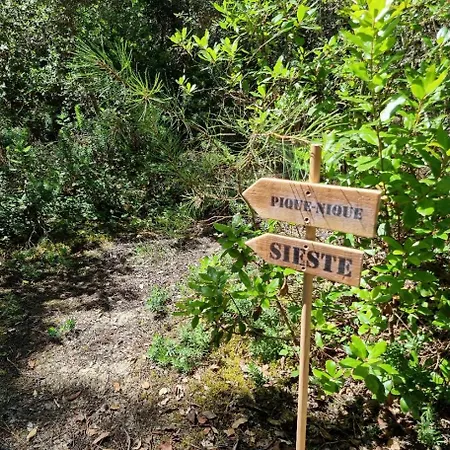Au Pied De La Dune, Acces Prive A La *