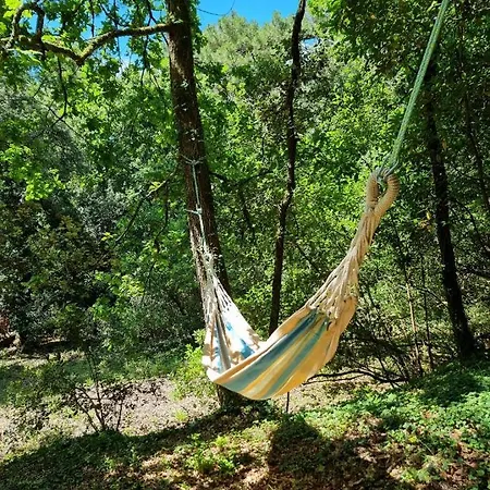 Au Pied De La Dune, Acces Prive A La Saint-Georges-de-Didonne