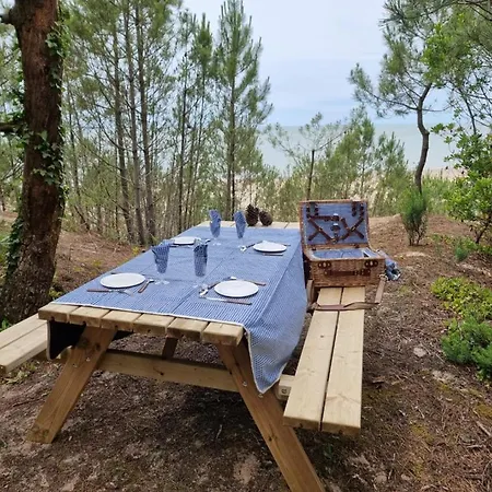 Au Pied De La Dune, Acces Prive A La Ferienhaus